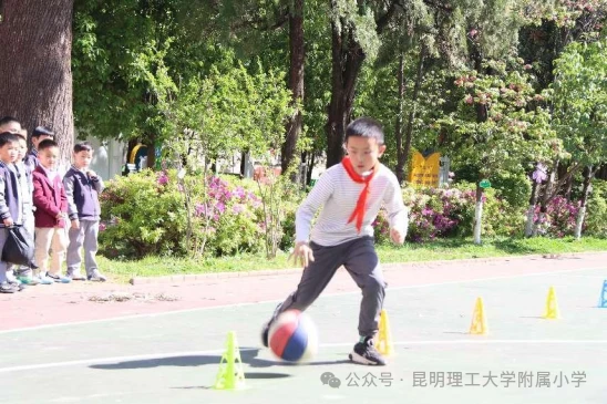 篮球训练员培训班费用多少_2